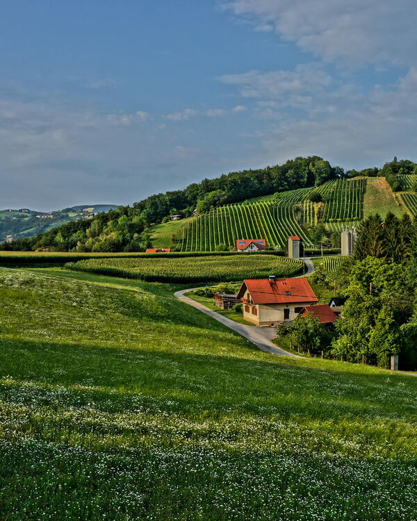 Blick vom Haus Presse auf den Burgstallkogel