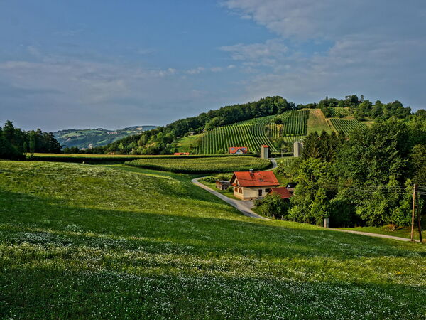 Blick vom Haus Presse auf den Burgstallkogel